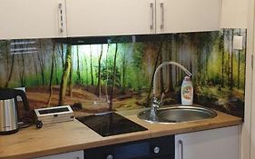Apartament Przy Starym Miescie